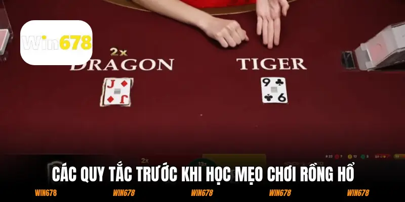 Các quy tắc trước khi học mẹo chơi Rồng Hổ